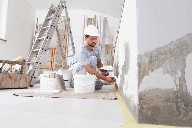 Best Basement Mold Removal  in Occoquan, VA