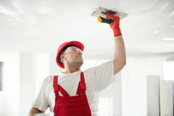  Occoquan, VA Mold Removal Pros